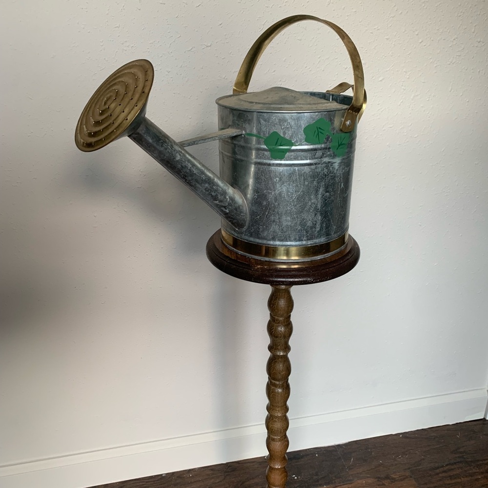Metallic Watering Can with Brass Accents